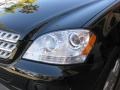 Black - ML 350 4Matic Photo No. 25