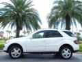 Arctic White - ML 350 4Matic Photo No. 1