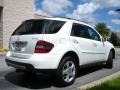 Arctic White - ML 350 4Matic Photo No. 6