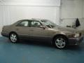 Pewter Pearl Metallic - Q 45 Anniversary Edition Photo No. 6