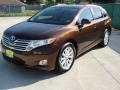 2010 Sunset Bronze Mica Toyota Venza I4  photo #7