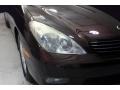 Black Garnet Pearl - ES 300 Photo No. 35