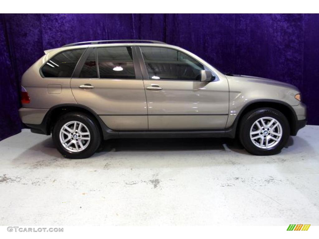 2006 X5 3.0i - Kalahari Beige Metallic / Truffle Brown Dakota Leather photo #3