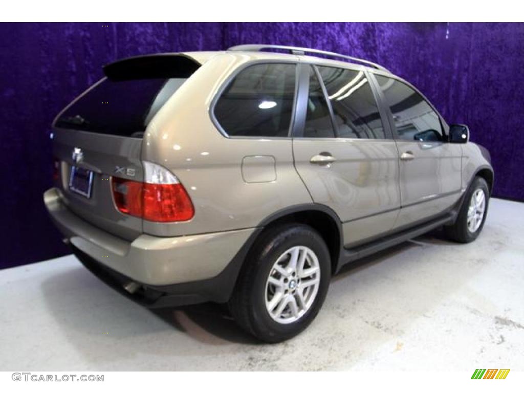 2006 X5 3.0i - Kalahari Beige Metallic / Truffle Brown Dakota Leather photo #30