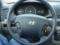 2006 Bright Silver Hyundai Sonata LX V6  photo #20