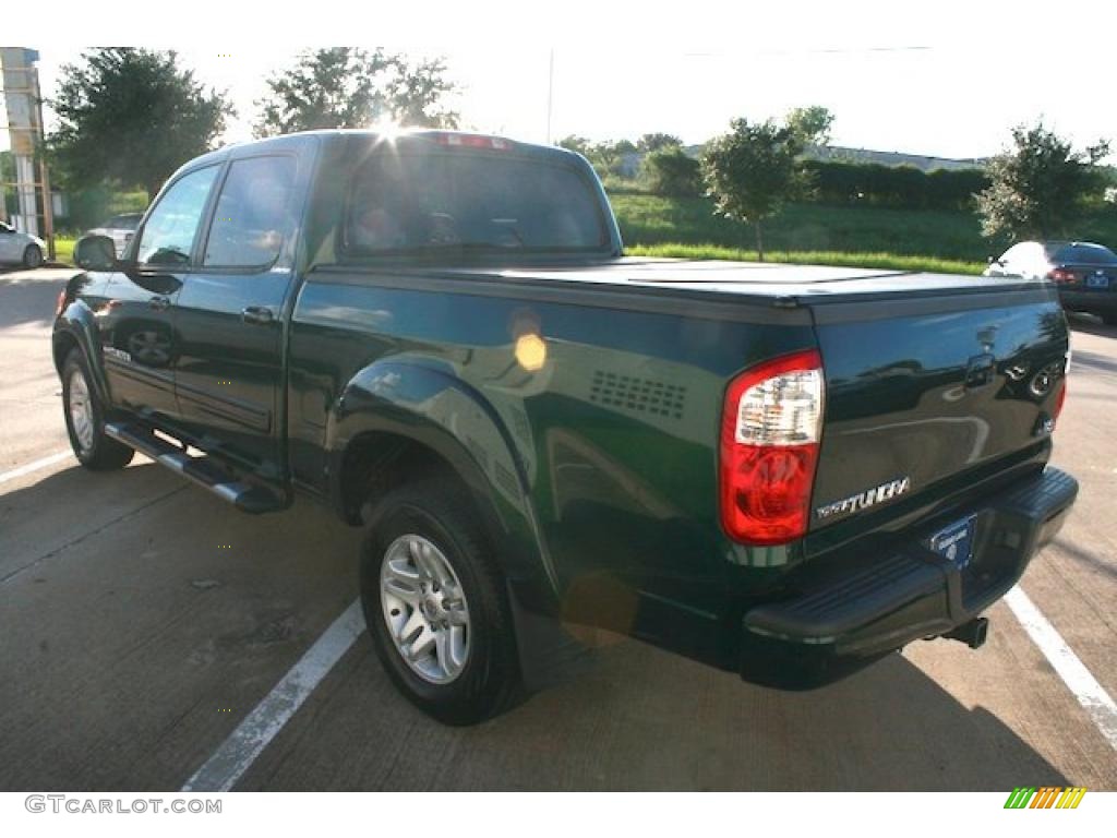 2004 Tundra Limited Double Cab - Imperial Jade Mica / Oak photo #2