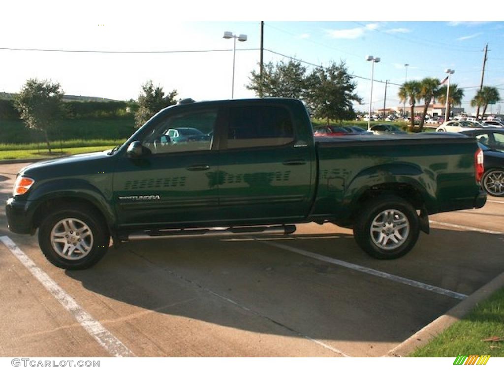 2004 Tundra Limited Double Cab - Imperial Jade Mica / Oak photo #14