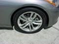 Platinum Graphite Gray - G 37 Coupe Photo No. 3