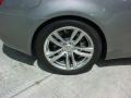Platinum Graphite Gray - G 37 Coupe Photo No. 4