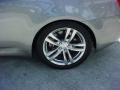 Platinum Graphite Gray - G 37 Coupe Photo No. 9