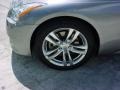 Platinum Graphite Gray - G 37 Coupe Photo No. 10