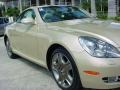 Chardonnay Beige Pearl - SC 430 Photo No. 2
