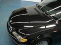 2003 Black Sapphire Metallic BMW 3 Series 330xi Sedan  photo #6