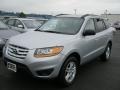Radiant Silver - Santa Fe GLS 4WD Photo No. 1