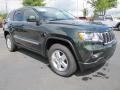 2011 Natural Green Pearl Jeep Grand Cherokee Laredo  photo #4