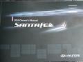 Radiant Silver - Santa Fe GLS 4WD Photo No. 10