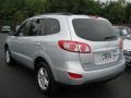 Radiant Silver - Santa Fe GLS 4WD Photo No. 14