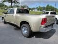 Austin Tan Pearl - Ram 3500 HD Big Horn Crew Cab Dually Photo No. 2