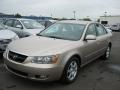 Golden Beige - Sonata LX V6 Photo No. 1