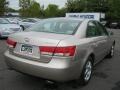 Golden Beige - Sonata LX V6 Photo No. 2