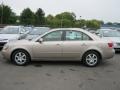 Golden Beige - Sonata LX V6 Photo No. 15