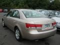 Golden Beige - Sonata LX V6 Photo No. 16