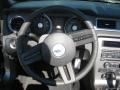 2010 Sterling Grey Metallic Ford Mustang V6 Convertible  photo #12