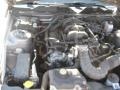 2010 Sterling Grey Metallic Ford Mustang V6 Convertible  photo #19
