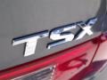 2009 Polished Metal Metallic Acura TSX Sedan  photo #27