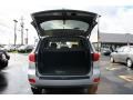 Bright Silver - Santa Fe GLS 4WD Photo No. 14