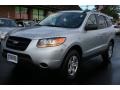 Bright Silver - Santa Fe GLS 4WD Photo No. 21