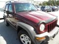 2002 Salsa Red Pearlcoat Jeep Liberty Sport 4x4 #37225273