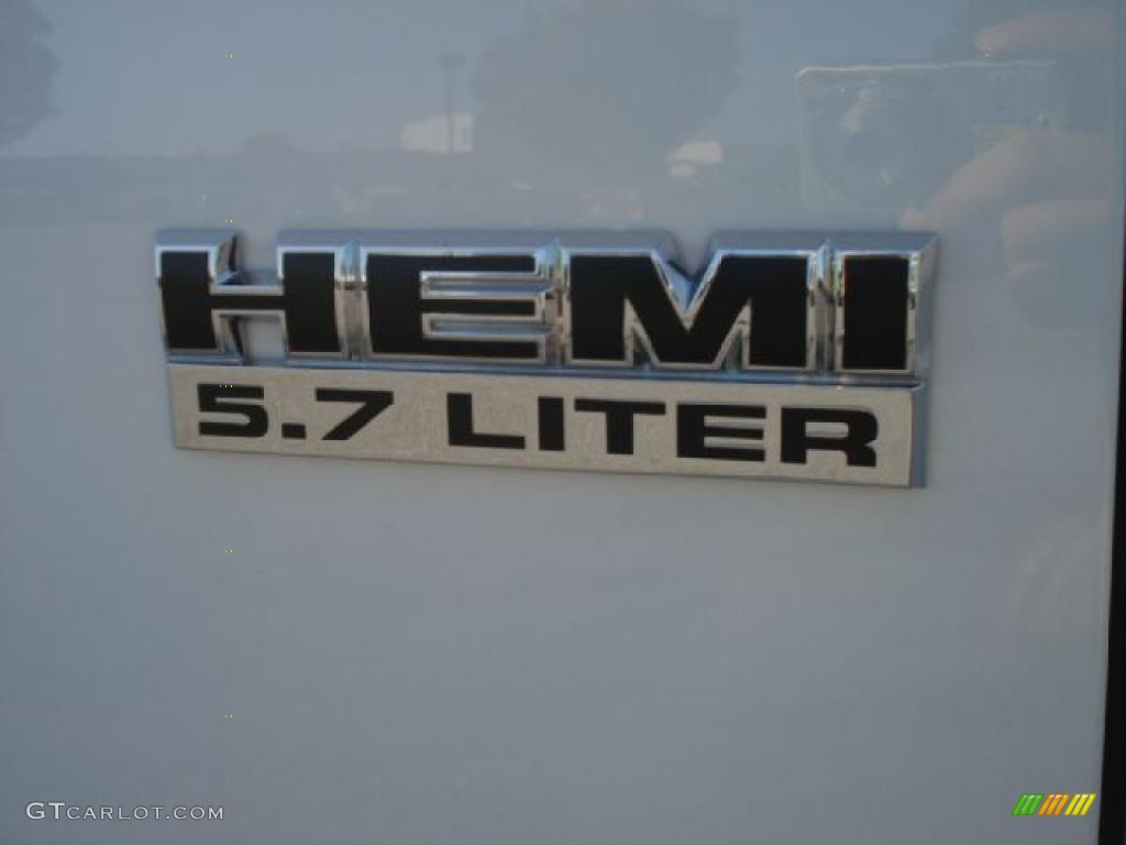2010 Ram 1500 Big Horn Crew Cab 4x4 - Stone White / Dark Slate/Medium Graystone photo #18