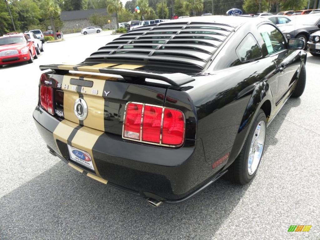 2007 Mustang GT Deluxe Coupe - Black / Light Graphite photo #11