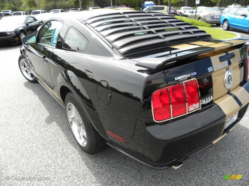2007 Mustang GT Deluxe Coupe - Black / Light Graphite photo #13