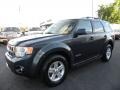 2008 Black Pearl Slate Metallic Ford Escape Hybrid  photo #6