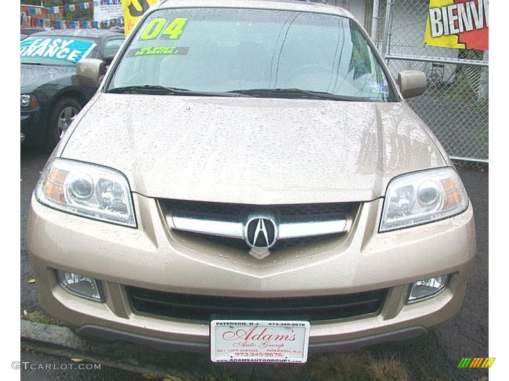 2004 MDX  - Sandstone Metallic / Saddle photo #5