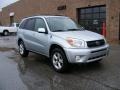 Titanium Metallic - RAV4 4WD Photo No. 1