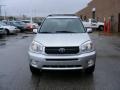Titanium Metallic - RAV4 4WD Photo No. 8