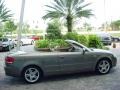 Alpaka Beige Metallic - A4 2.0T Cabriolet Photo No. 6