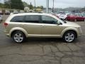 2010 White Gold Dodge Journey SXT AWD  photo #5