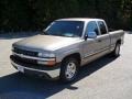 2002 Light Pewter Metallic Chevrolet Silverado 1500 LS Extended Cab  photo #1