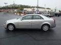 Light Platinum - CTS Sedan Photo No. 6