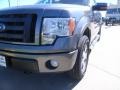 Sterling Grey Metallic - F150 FX4 SuperCrew 4x4 Photo No. 16