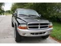 Black - Dakota SLT Quad Cab 4x4 Photo No. 15