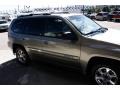 Pewter Metallic - Envoy SLT 4x4 Photo No. 21