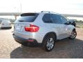 Titanium Silver Metallic - X5 xDrive30i Photo No. 5