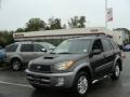 Graphite Gray Pearl - RAV4 4WD Photo No. 1