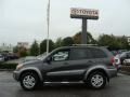 Graphite Gray Pearl - RAV4 4WD Photo No. 3