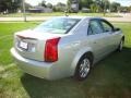 Light Platinum - CTS Sedan Photo No. 4